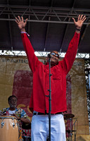 James Andrews at the Congo Square Rhythms Festival