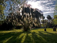 Colonial Park Cemetery, Savannah, GA