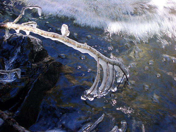 Stream in Winter, Stewart Springs, CA